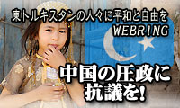 banner3.jpg
